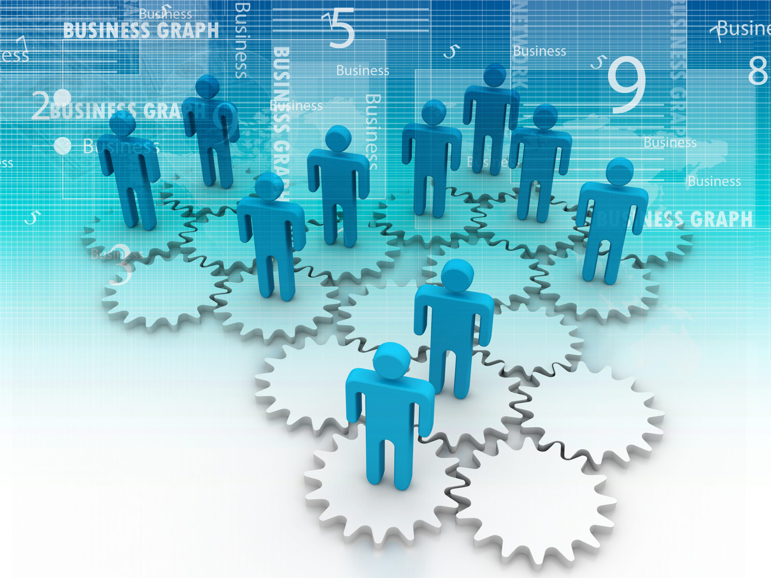 Raleigh HR Compliance Resources